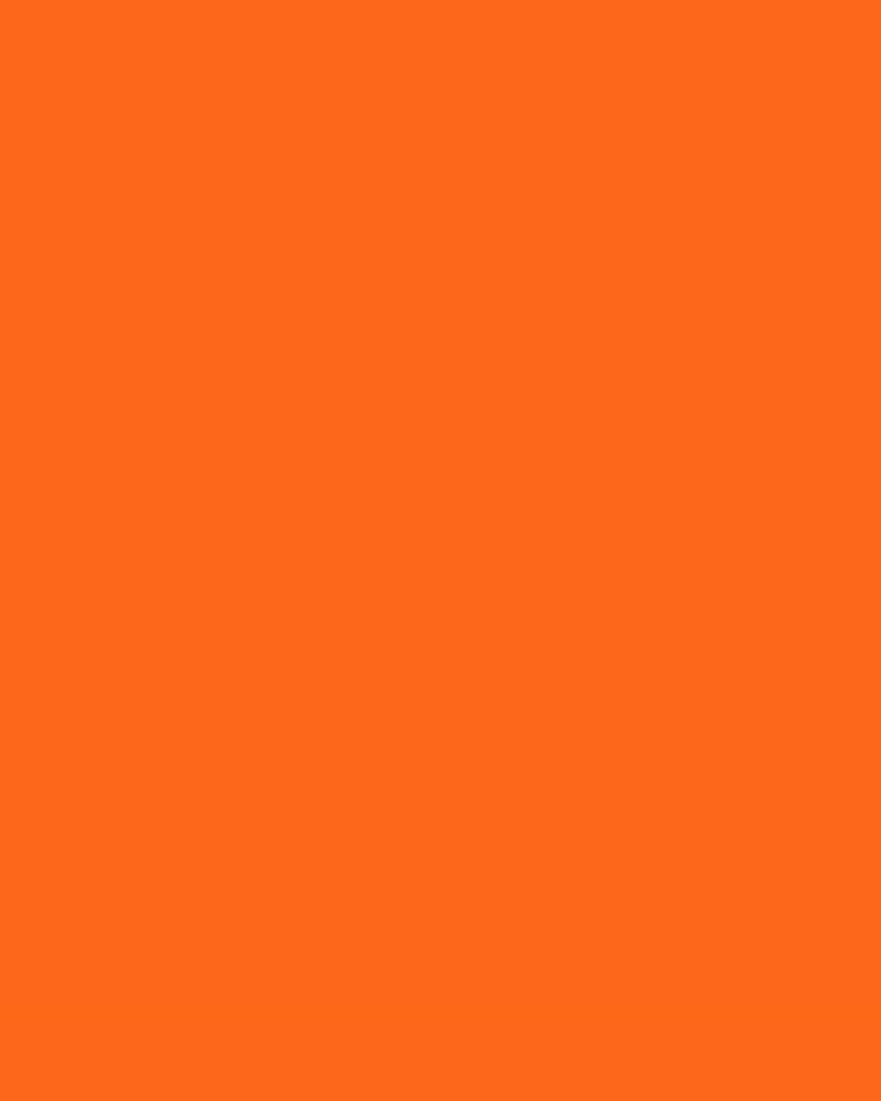 leeb-orange